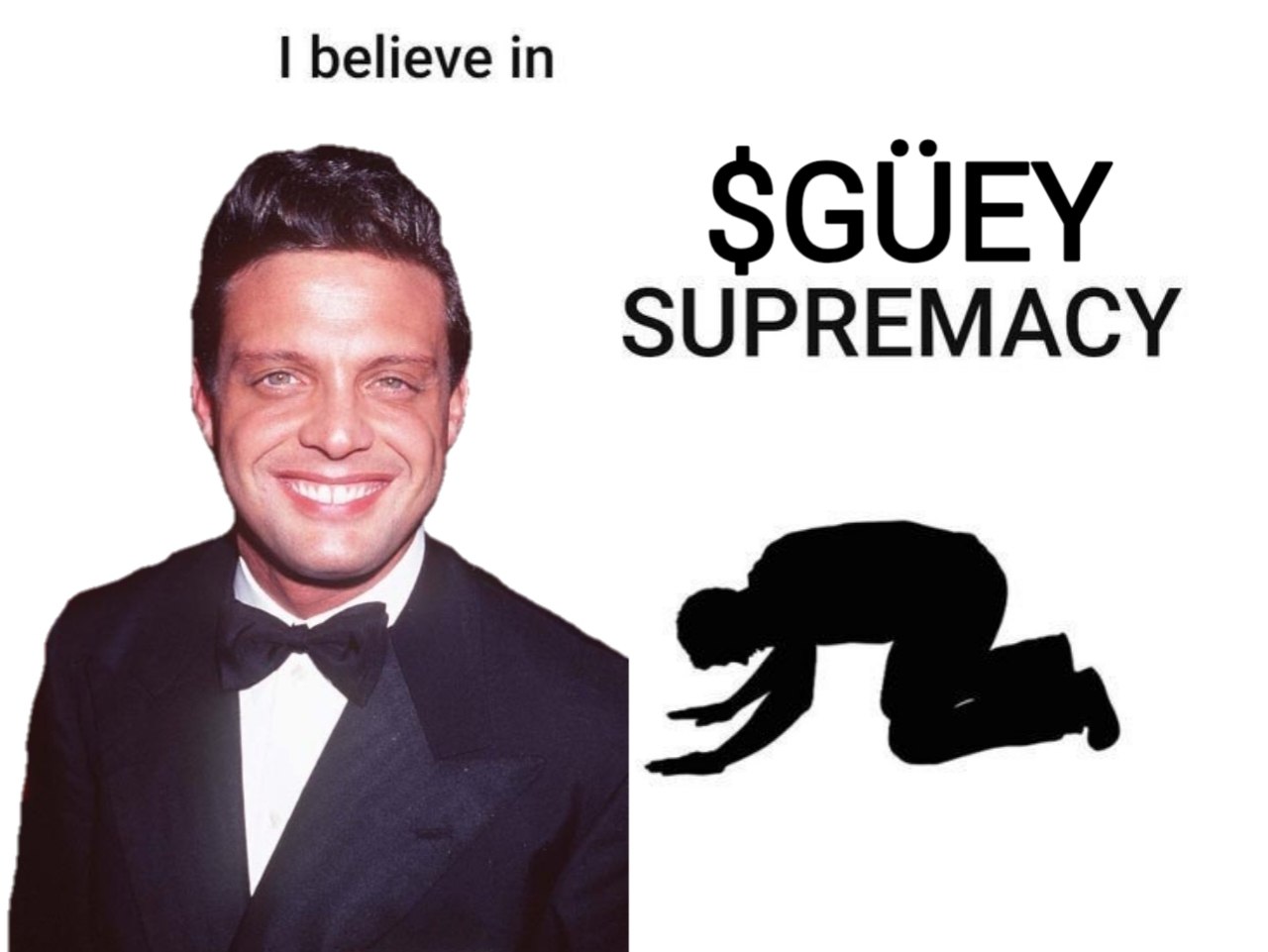 güey meme 17
